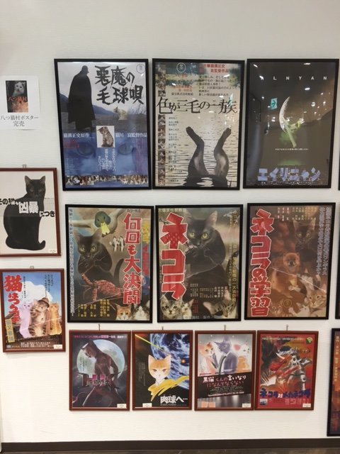 色が三毛の一族 イメージ
