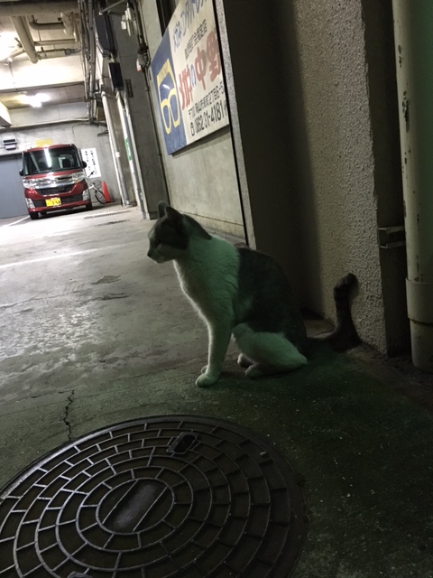 さむいわー イメージ