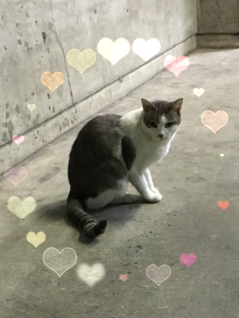 お前生きとったんか！ イメージ