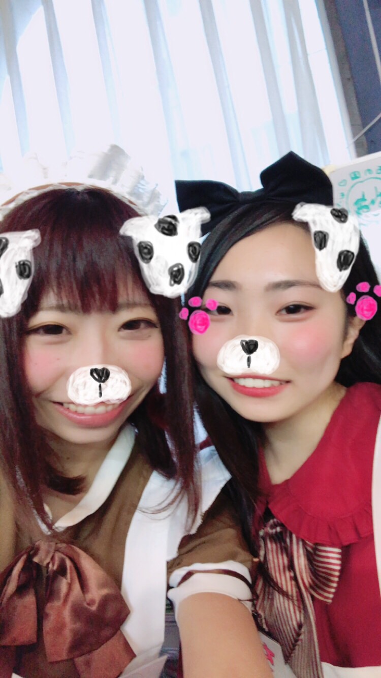 今年と来年のことについて╰(*´︶`*)╯ イメージ