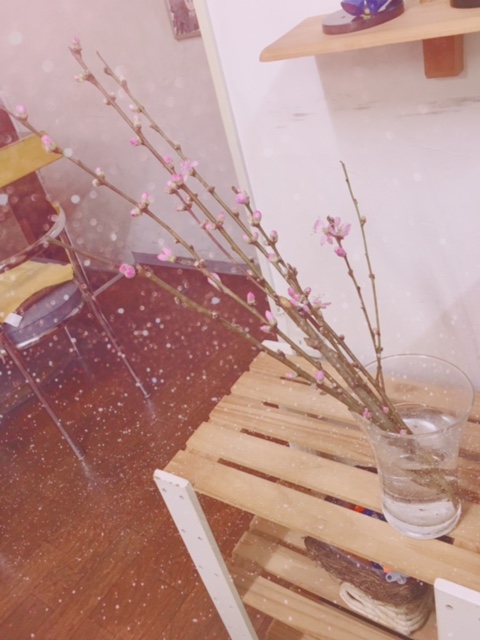 ?桃の花? イメージ