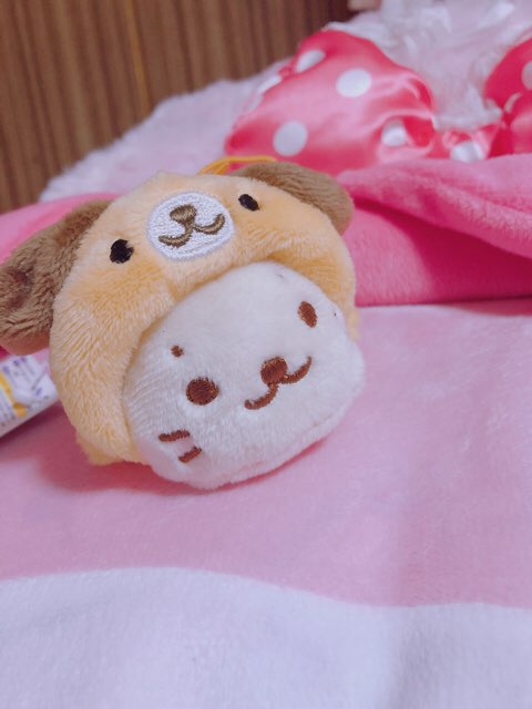 しろたん イメージ