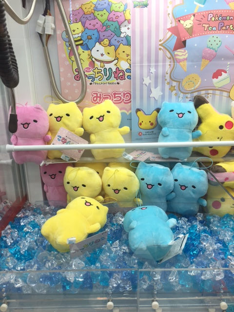 みっちり… イメージ