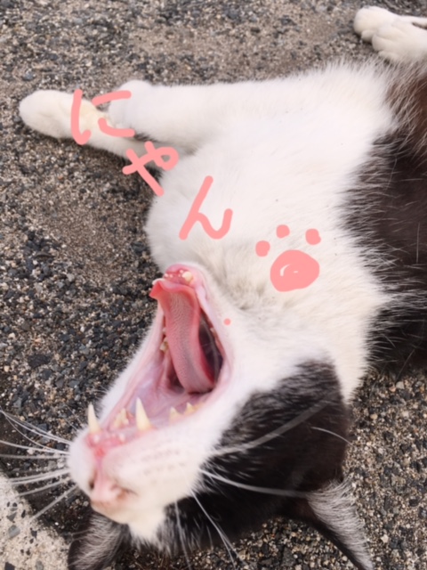 にゃおん? イメージ