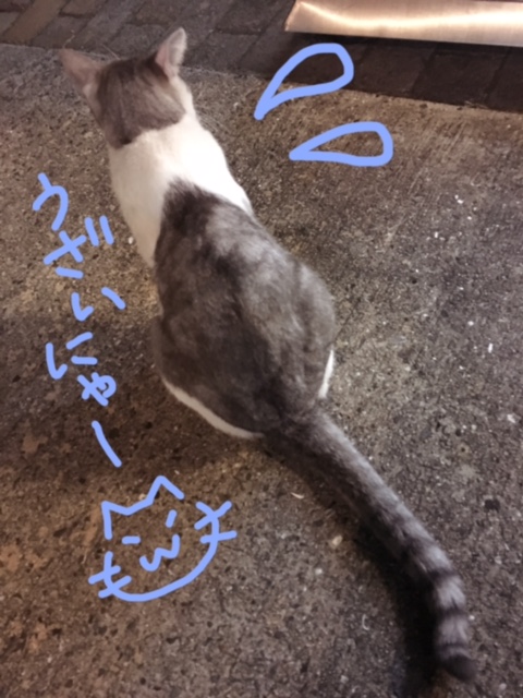 冷たいあの子? イメージ