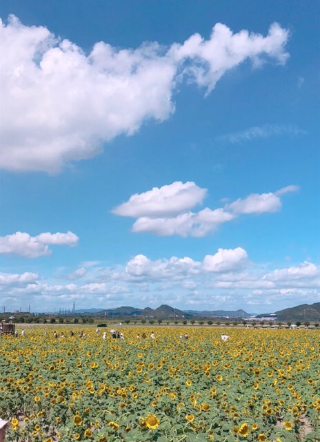 ?? イメージ