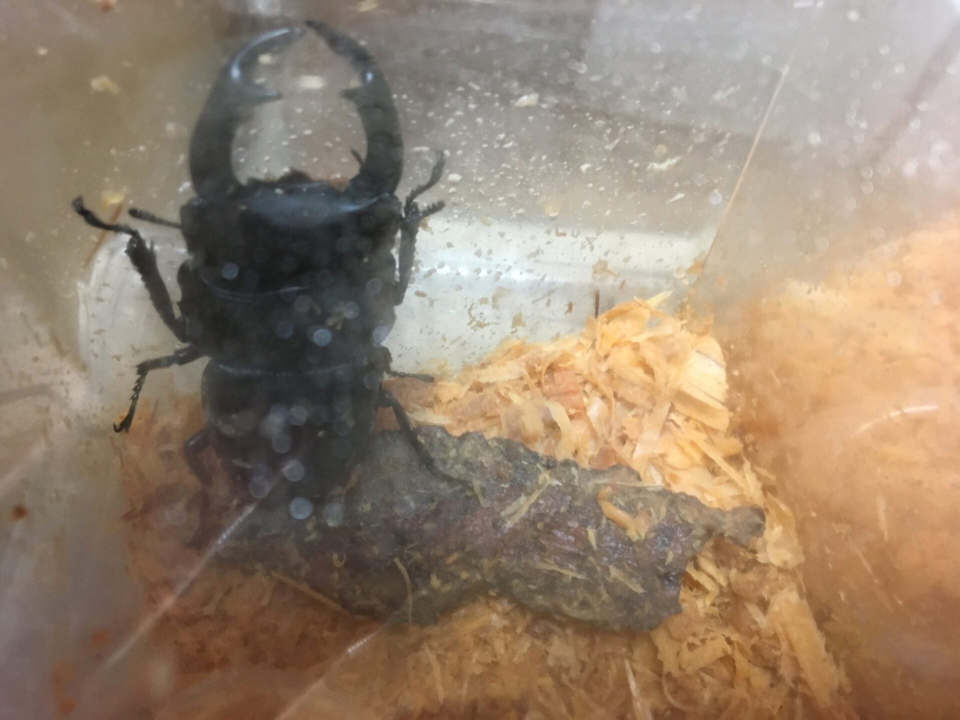 頑張る!! イメージ