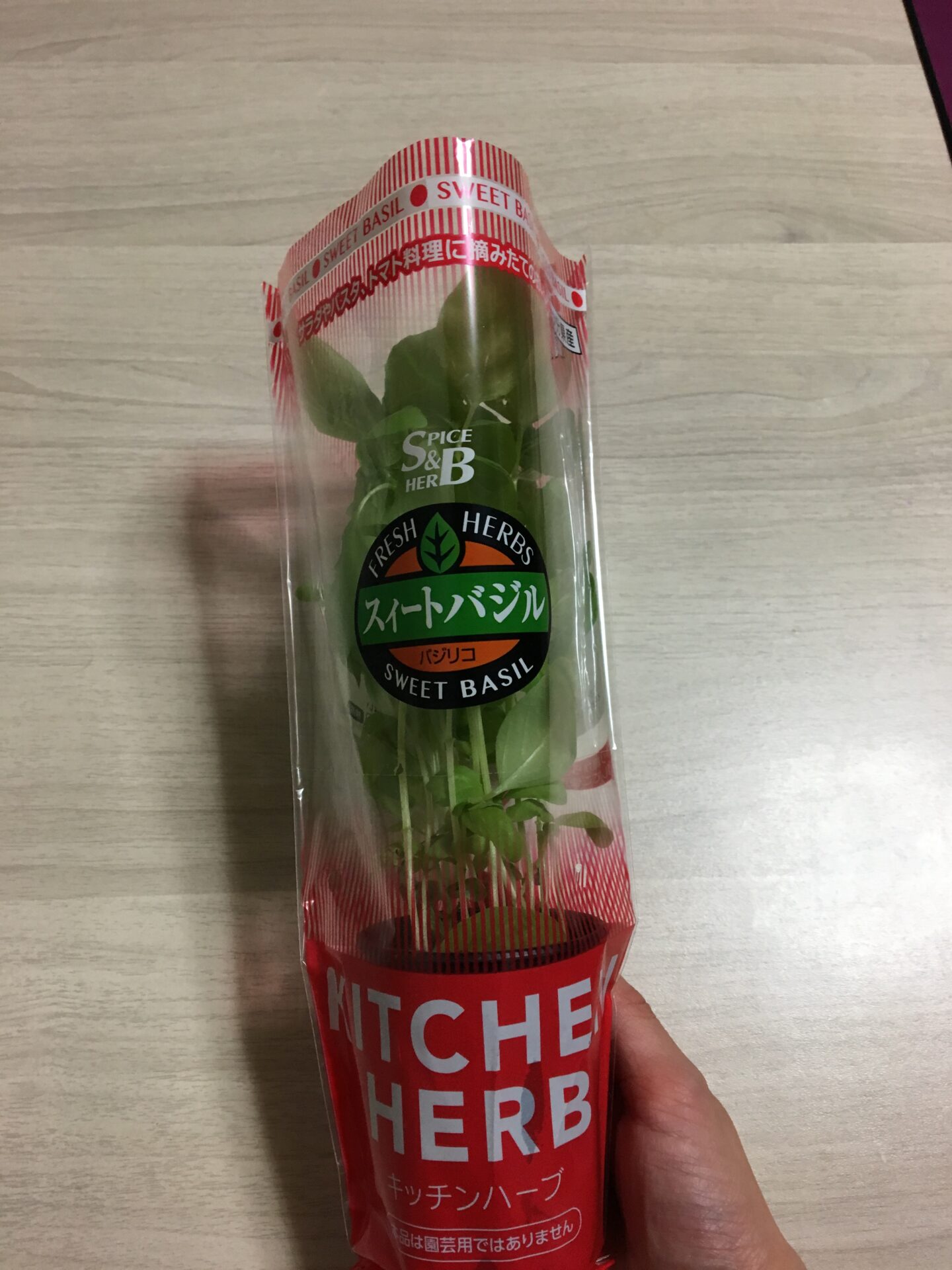 ?? イメージ