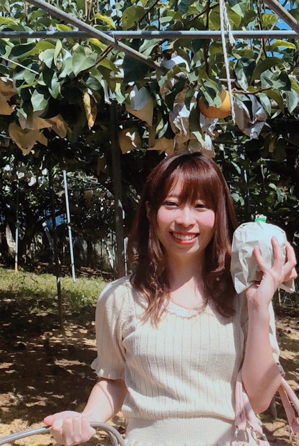 なっしーっ イメージ