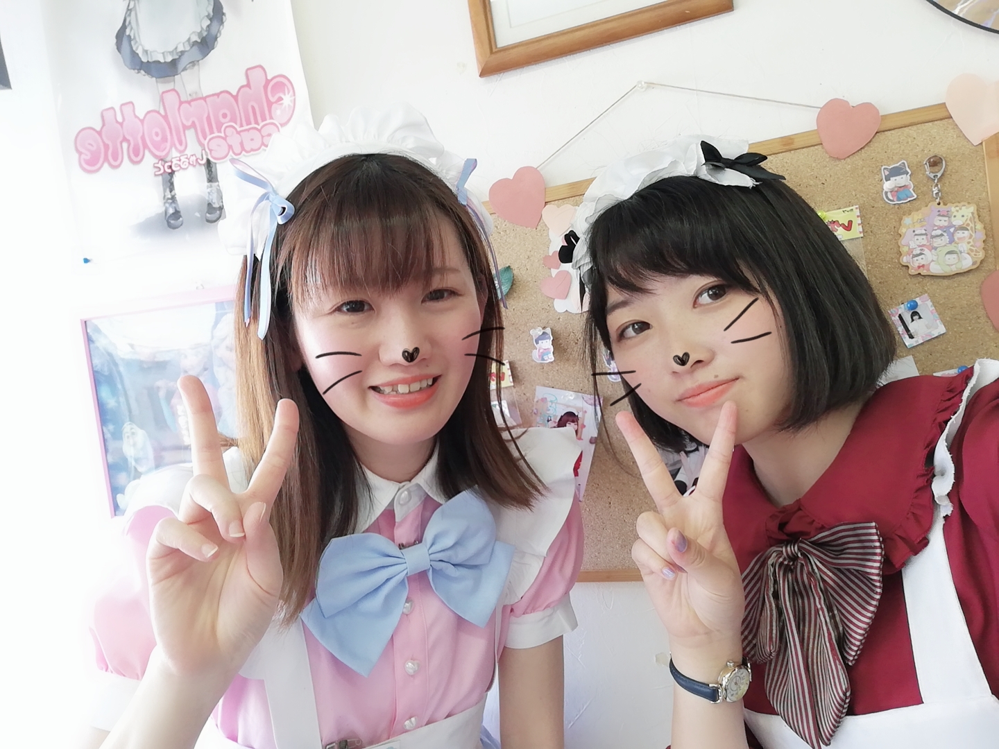 Live From The Field イメージ