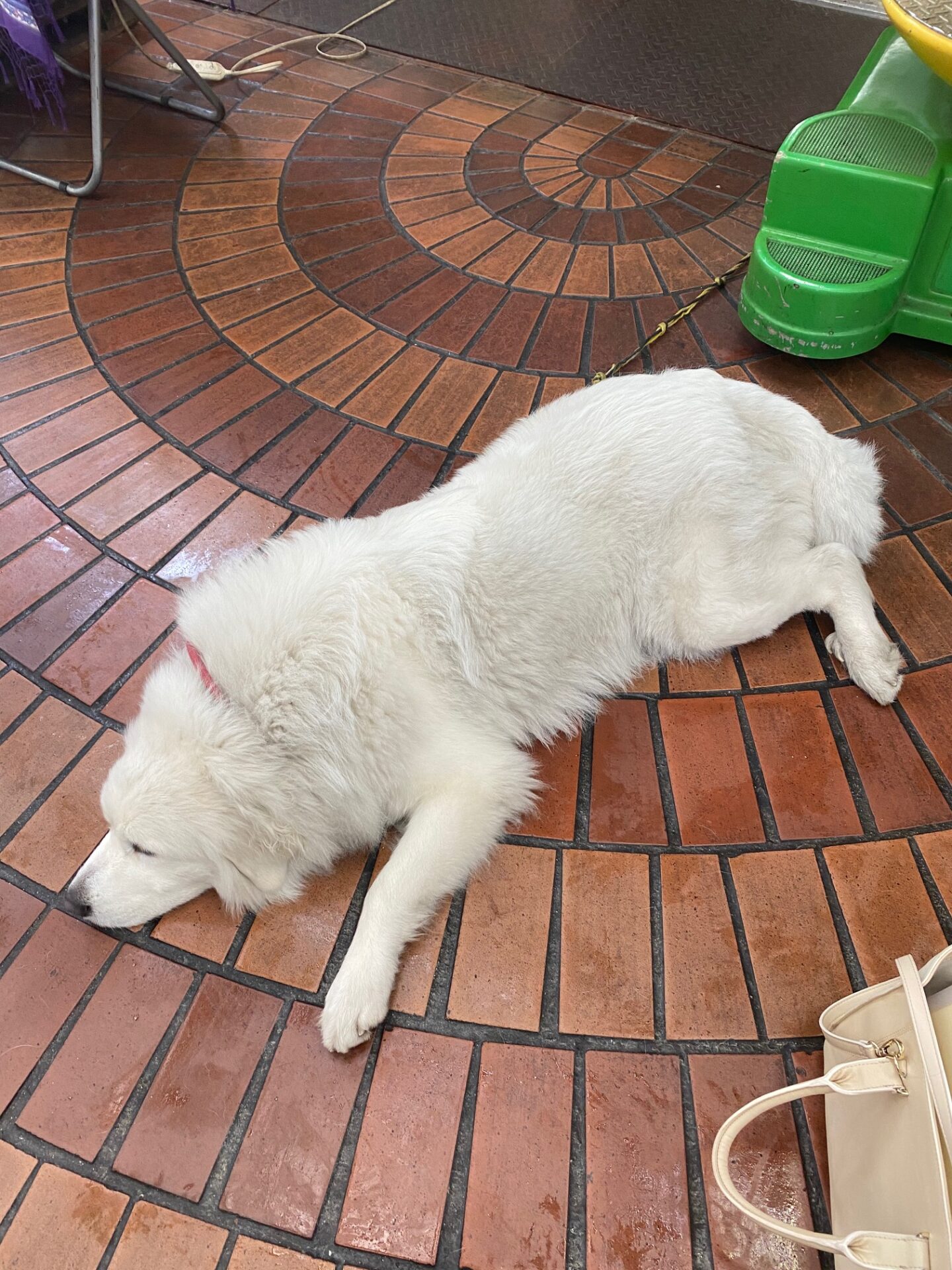 ふふふん(´∀｀*) イメージ