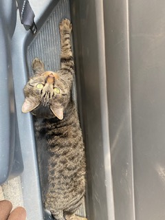あいたたた イメージ