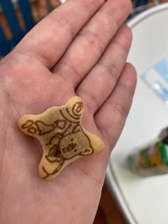 久しぶりに イメージ