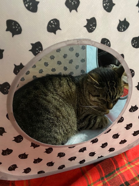 暑かった… イメージ