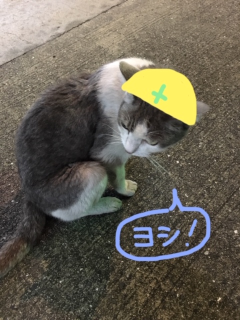 ヨシ！ イメージ