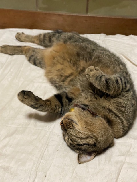 熱しやすく冷めやすい？ イメージ