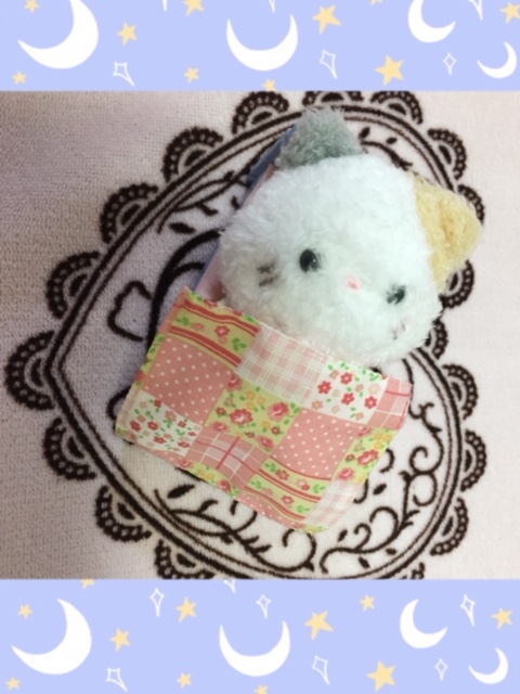 ( ˘ω˘ )ｽﾔｧ… イメージ