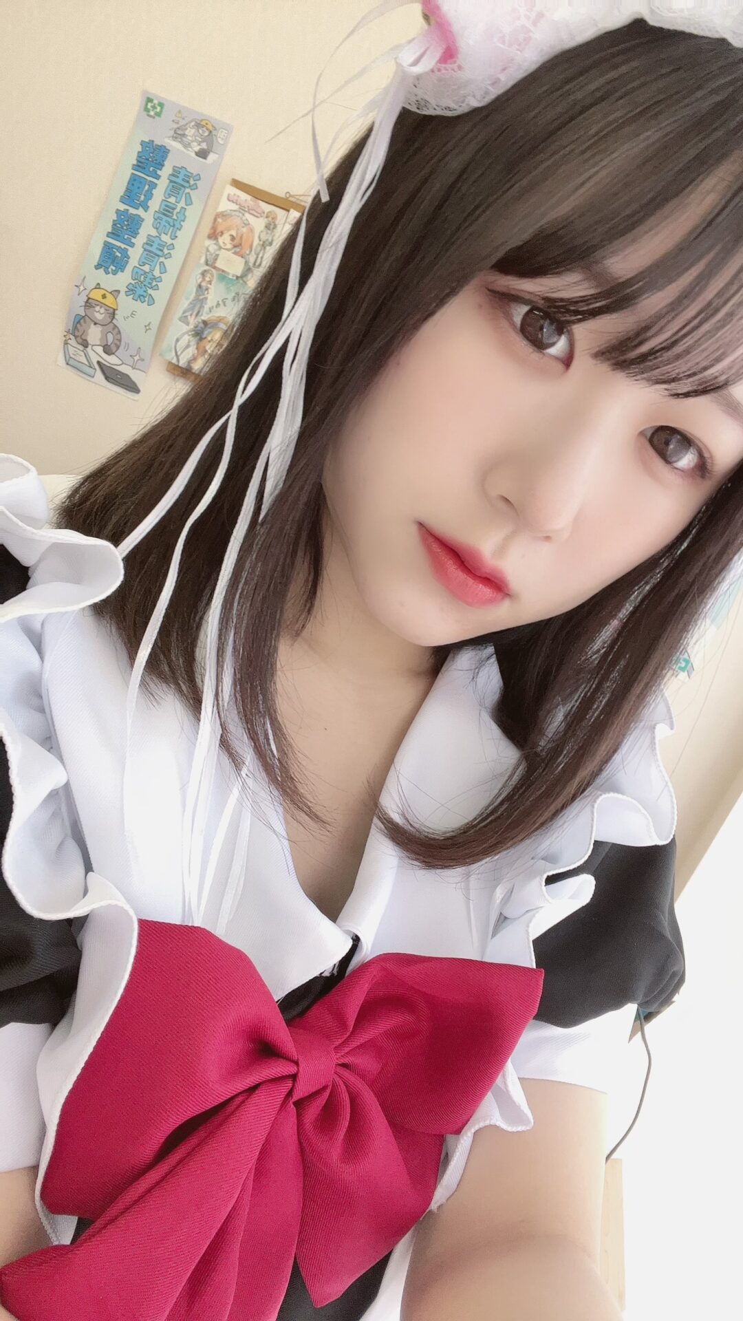 びっくりわんにゃん イメージ
