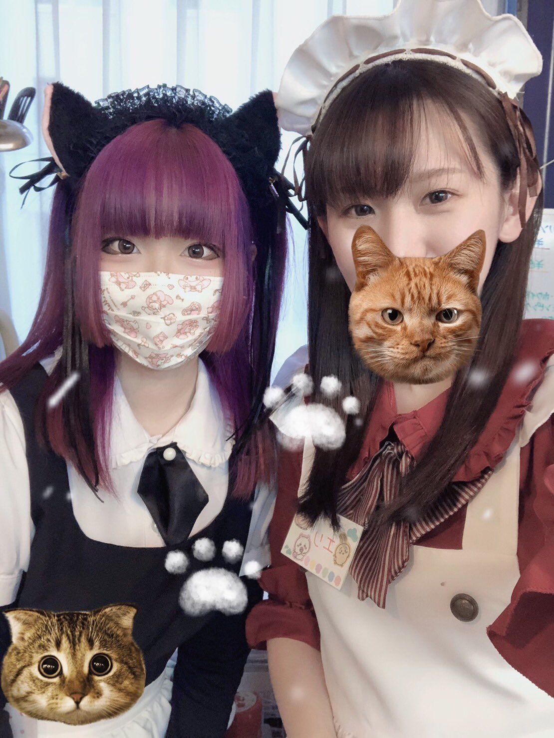 ?2022年? イメージ