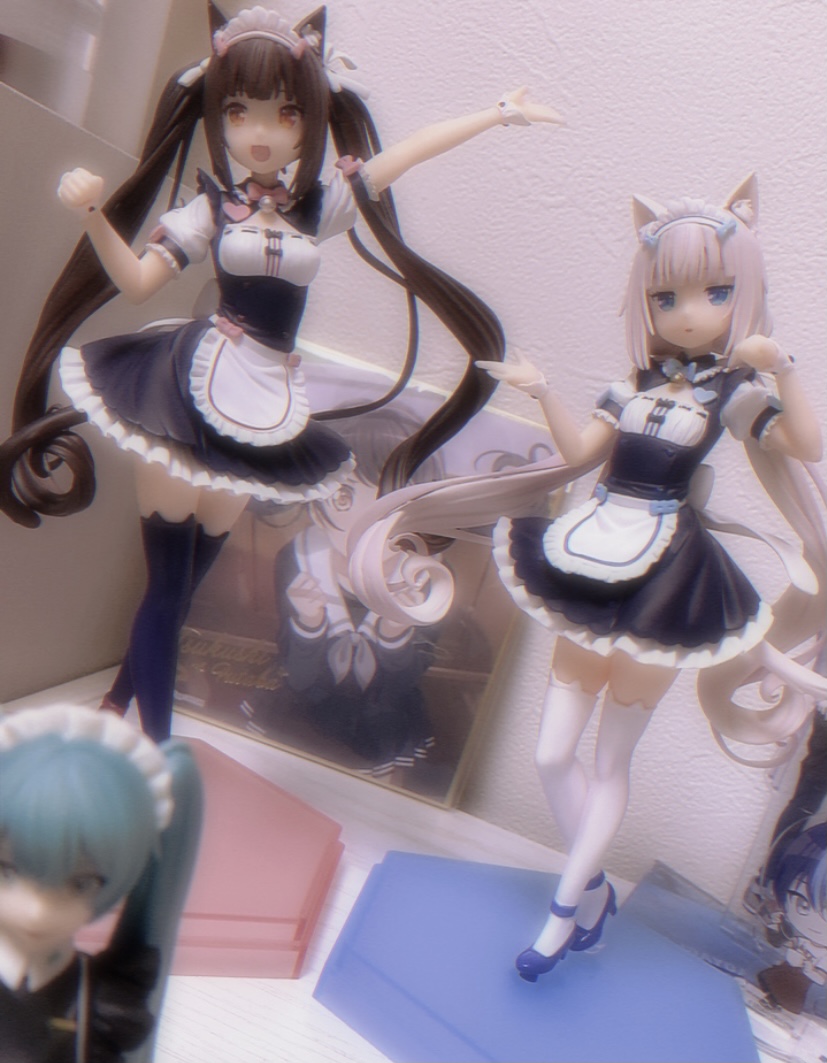 =^._.^= イメージ