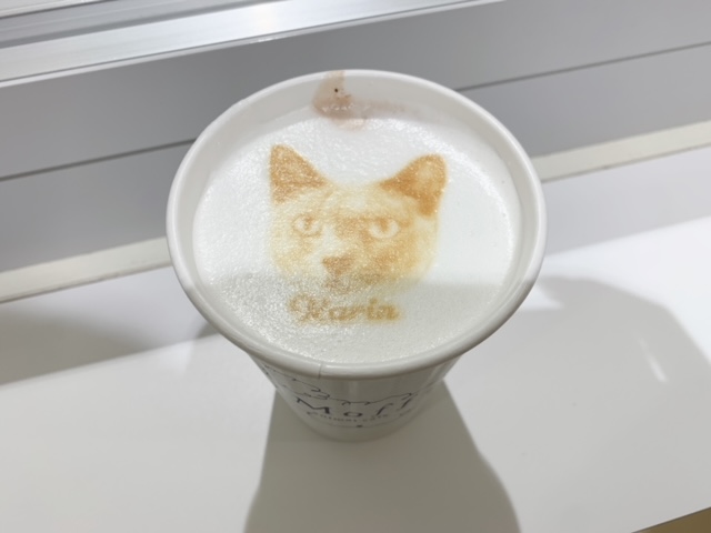 にゃんこ? イメージ