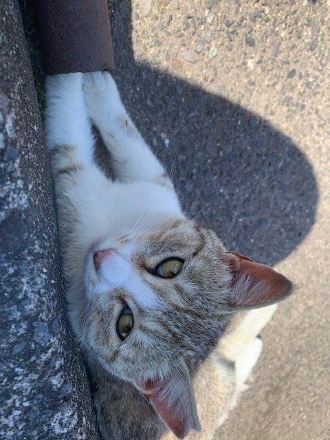 五月病こわい???? イメージ
