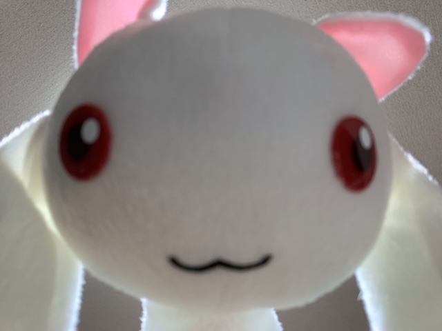 【契約?】叶えてよ！！ イメージ