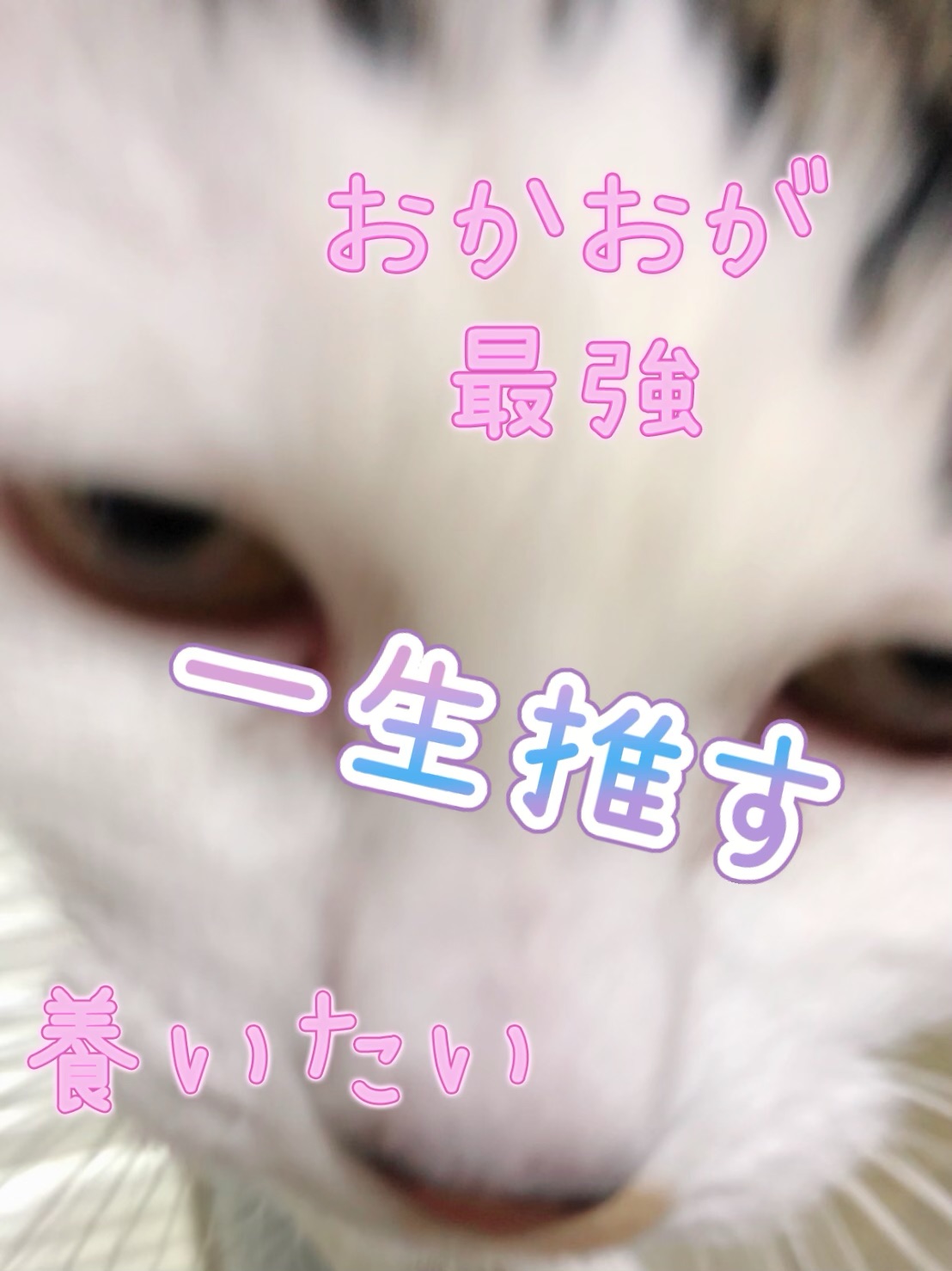 ⚠️年末年始の営業について⚠️ イメージ