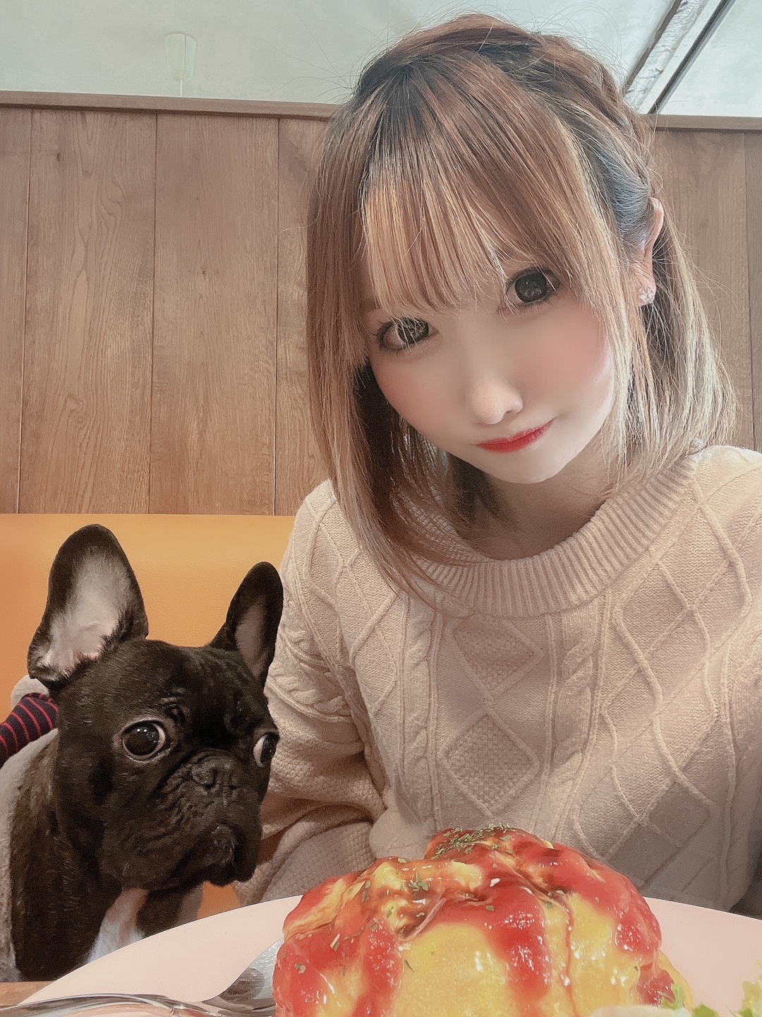 わんわん生誕祭 イメージ