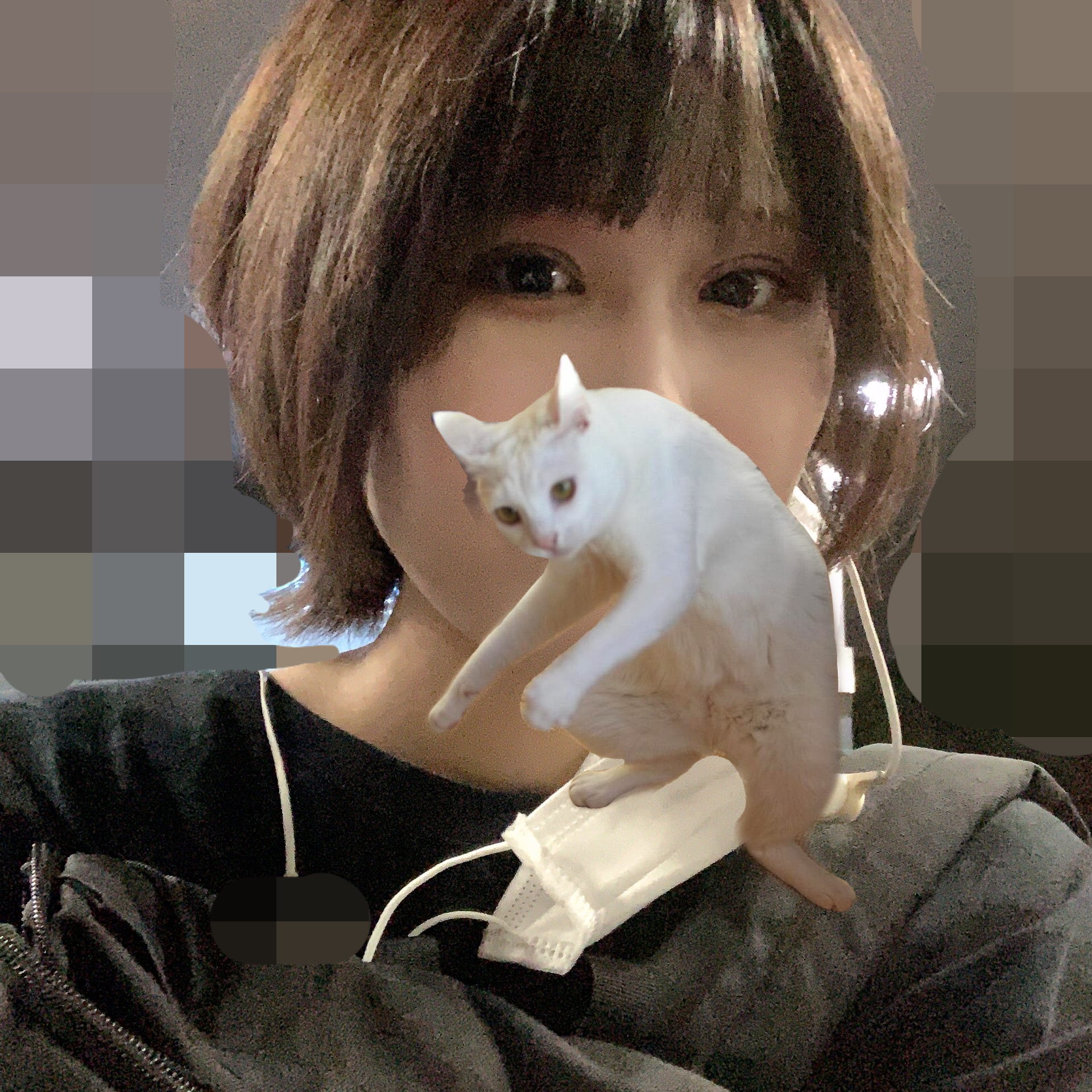 涼しくなりました😂 イメージ