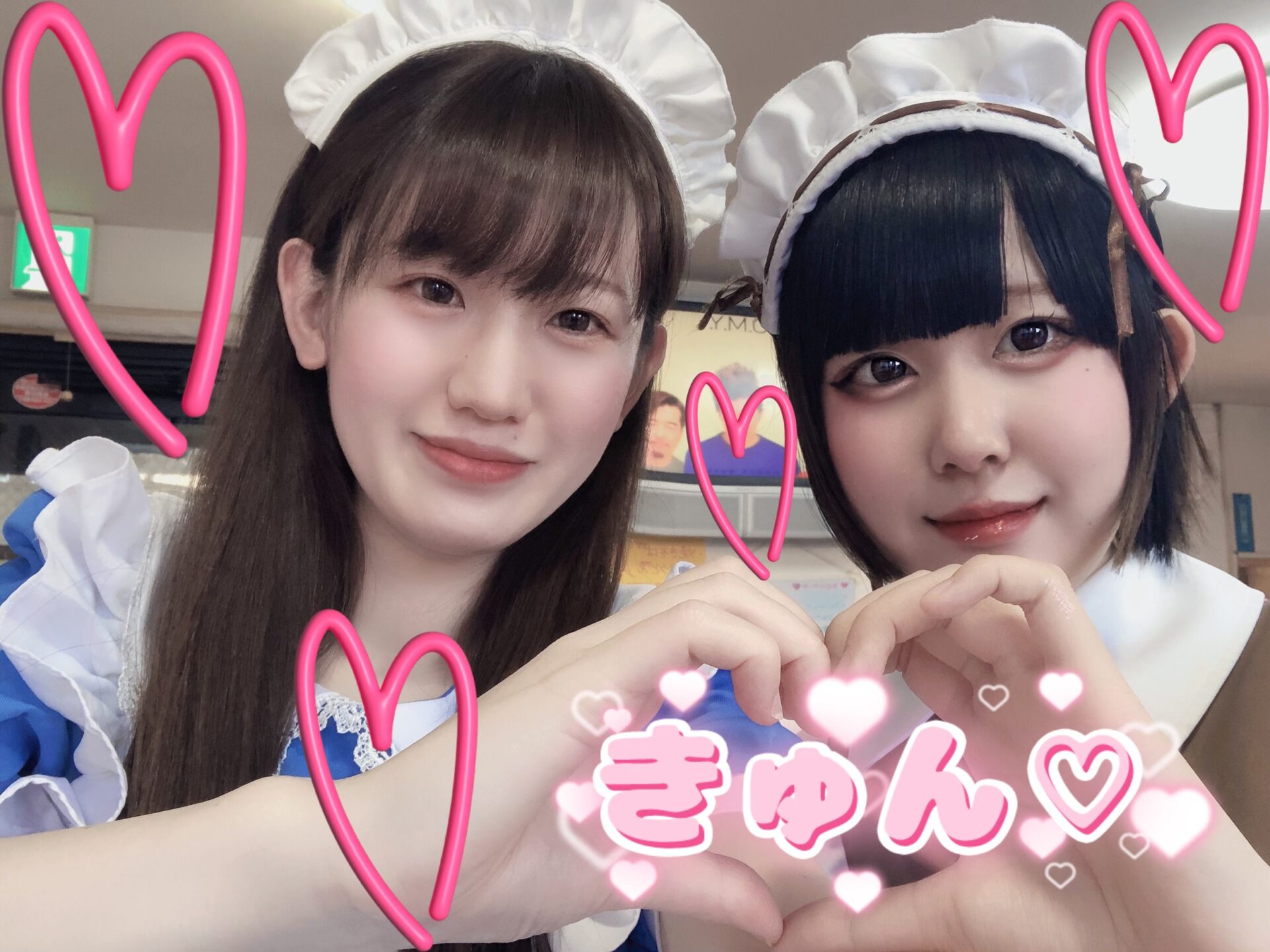 すいすいすい🐟 イメージ
