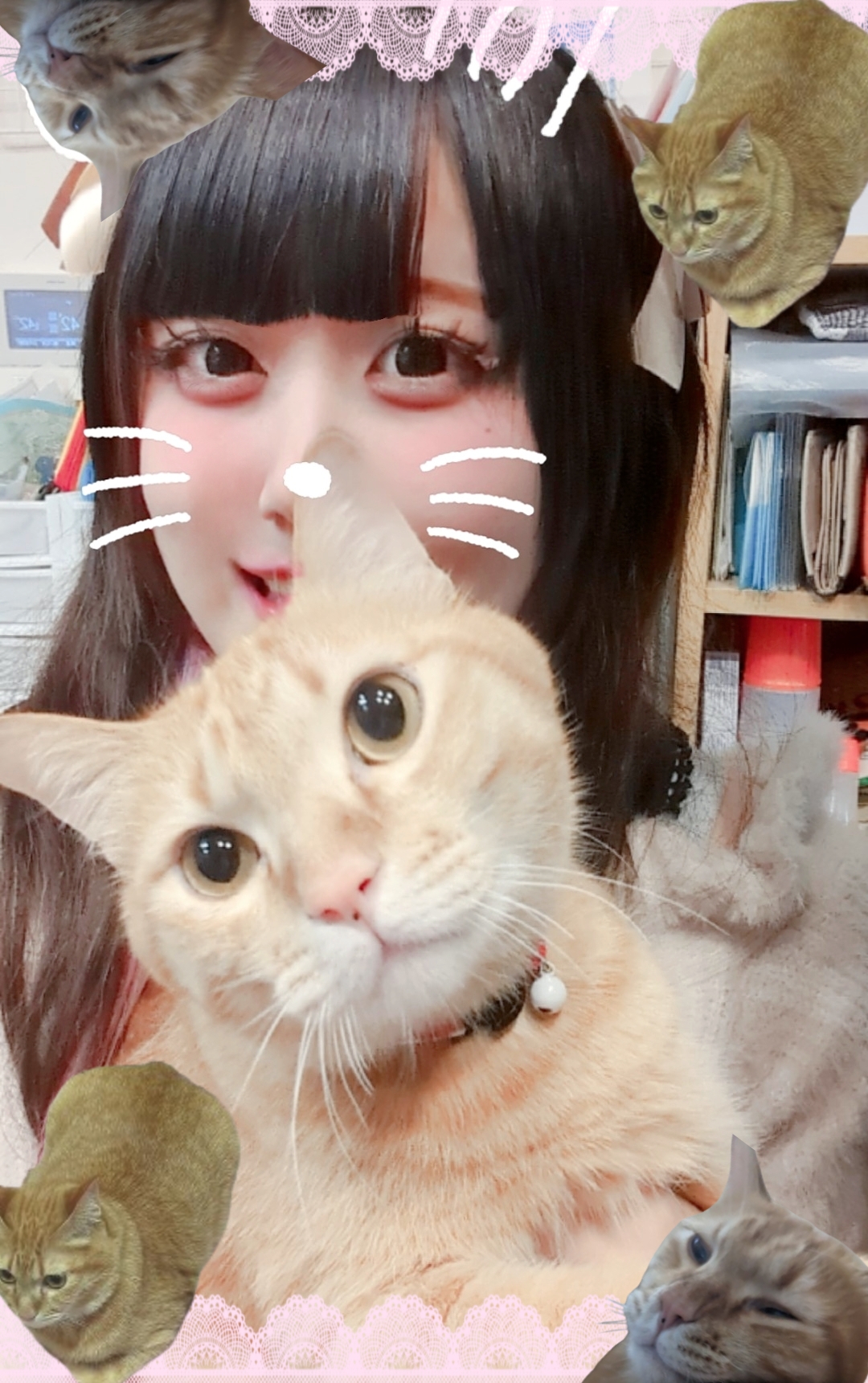 来世は深海の貝に生まれたい！！！さくち🌸 イメージ