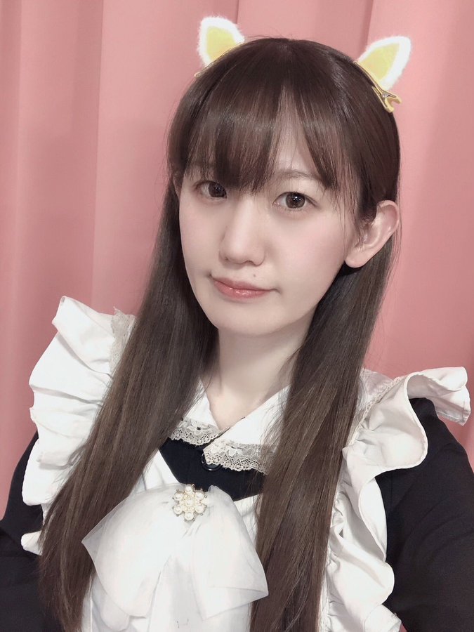 🐾明日のお知らせ🐾 イメージ