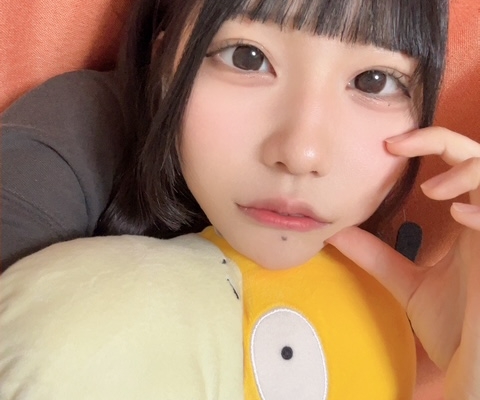 🐥🐥 イメージ